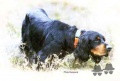 Pedigree ROXANE DU CLOS DES VICKINGS Pedigree ROXANE DU CLOS DES VICKINGS
